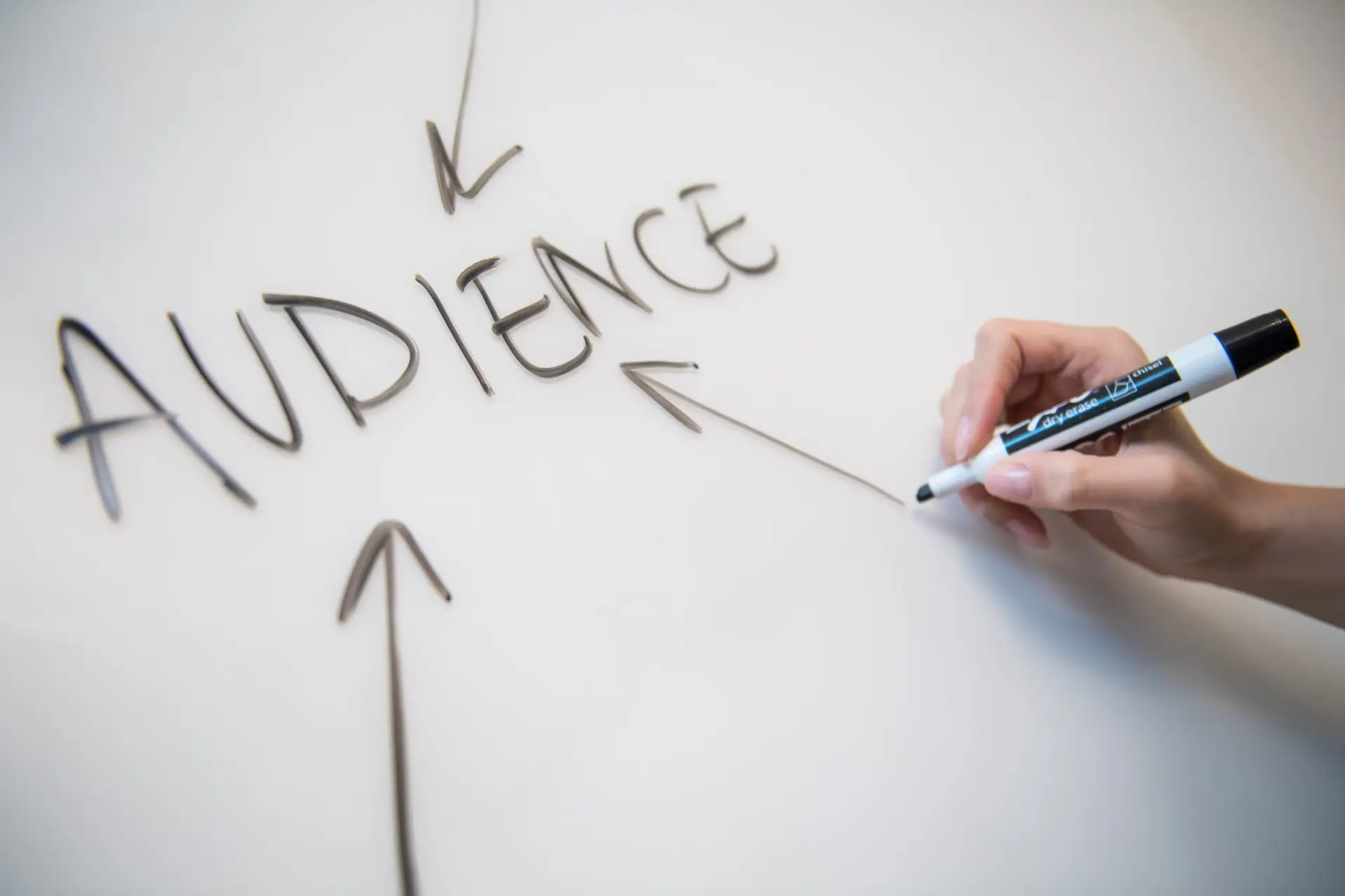 Tailor What Your Business Offers to Your Audience's Needs